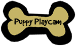 Puppy Playcam